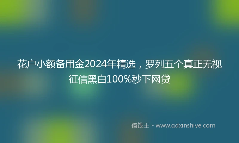 花户小额备用金2024年精选，罗列五个真正无视征信黑白100%秒下网贷