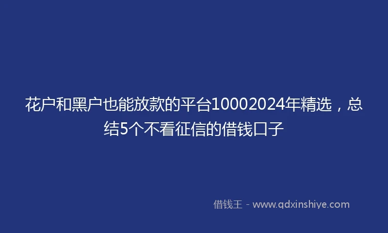 花户和黑户也能放款的平台10002024年精选，总结5个不看征信的借钱口子