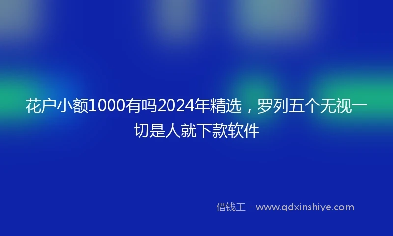 花户小额1000有吗2024年精选，罗列五个无视一切是人就下款软件
