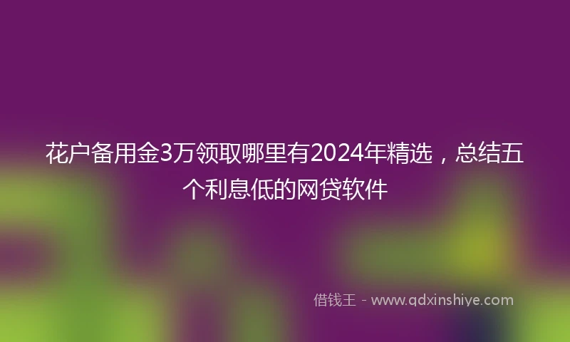 花户备用金3万领取哪里有2024年精选，总结五个利息低的网贷软件