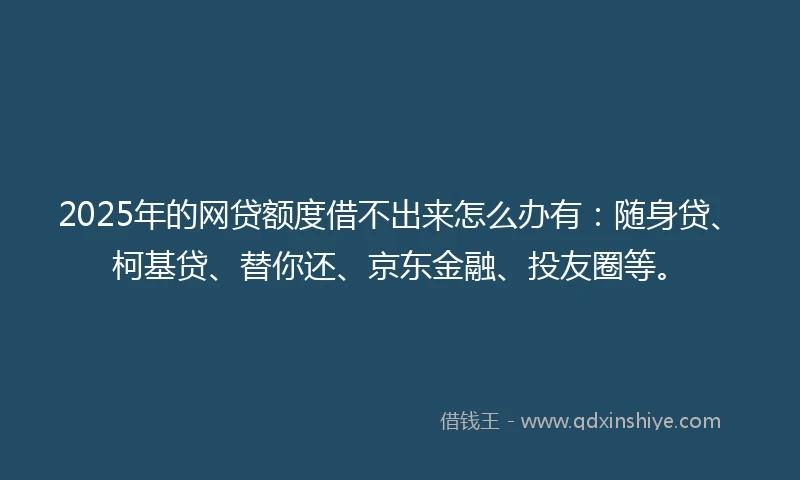2025年的网贷额度借不出来怎么办有：随身贷、柯基贷、替你还、京东金融、投友圈等。