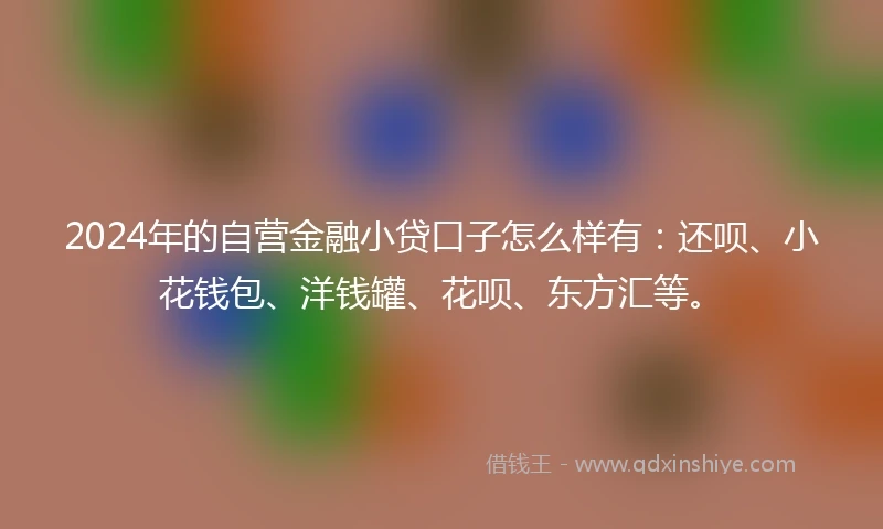 2024年的自营金融小贷口子怎么样有：还呗、小花钱包、洋钱罐、花呗、东方汇等。