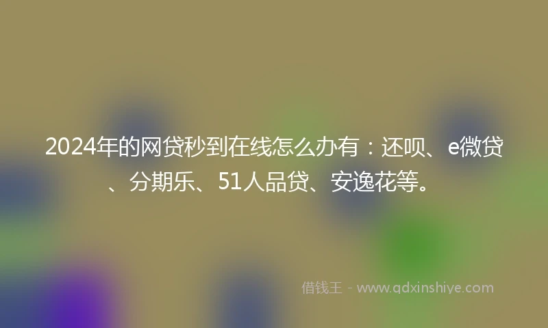 2024年的网贷秒到在线怎么办有：还呗、e微贷、分期乐、51人品贷、安逸花等。