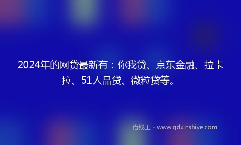 2024年的网贷最新有：你我贷、京东金融、拉卡拉、51人品贷、微粒贷等。