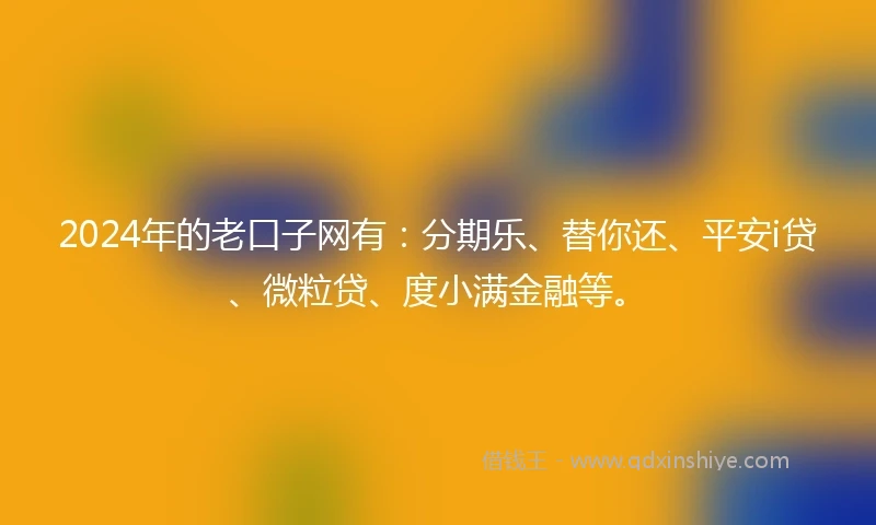 2024年的老口子网有：分期乐、替你还、平安i贷、微粒贷、度小满金融等。