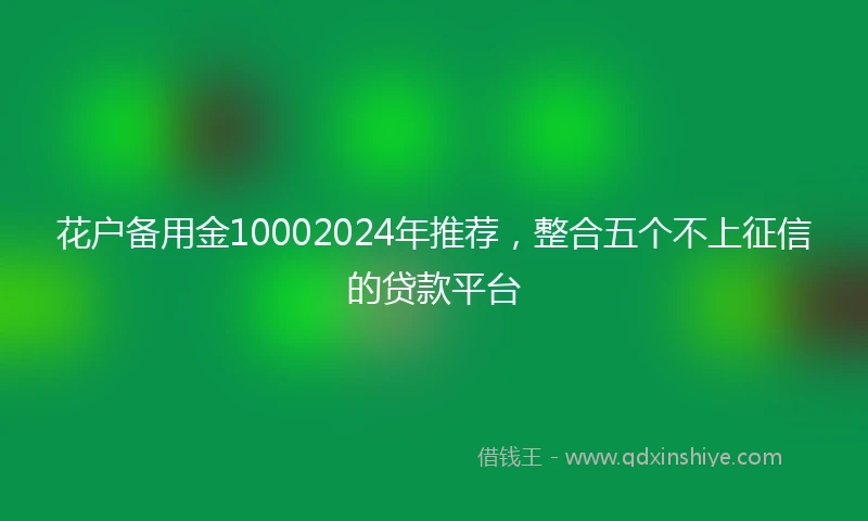 花户备用金10002024年推荐，整合五个不上征信的贷款平台