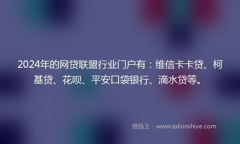 2024年的网贷联盟行业门户有：维信卡卡贷、柯基贷、花呗、平安口袋银行、滴水贷等。