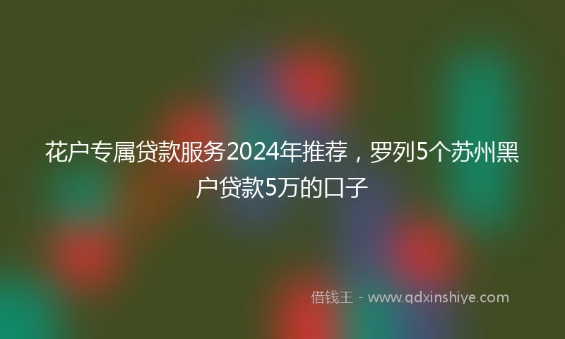 花户专属贷款服务2024年推荐，罗列5个苏州黑户贷款5万的口子