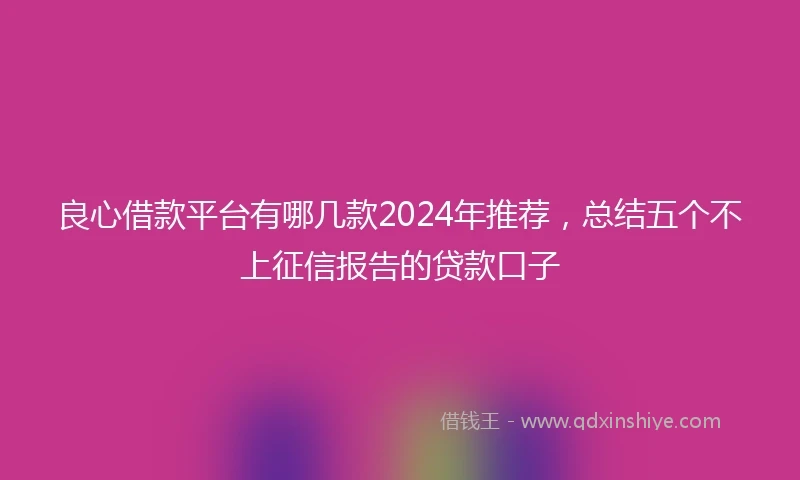 良心借款平台有哪几款2024年推荐，总结五个不上征信报告的贷款口子