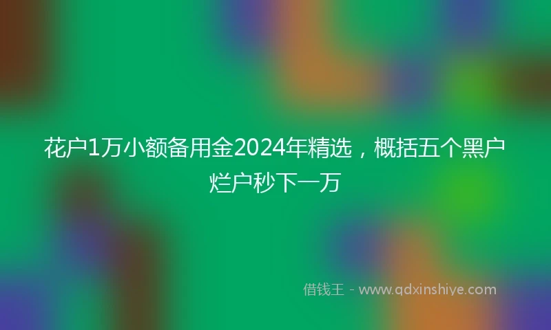 花户1万小额备用金2024年精选，概括五个黑户烂户秒下一万