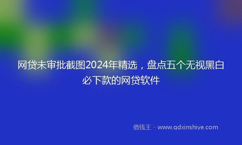 网贷未审批截图2024年精选，盘点五个无视黑白必下款的网贷软件
