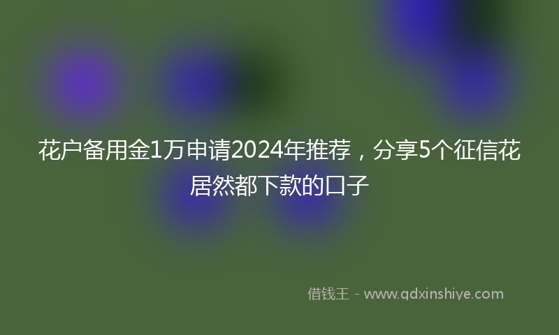 花户备用金1万申请2024年推荐，分享5个征信花居然都下款的口子