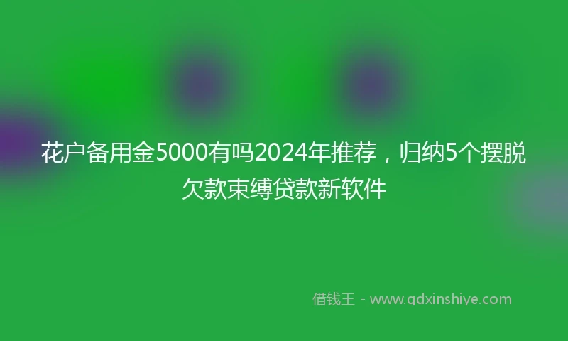 花户备用金5000有吗2024年推荐,归纳5个摆脱欠款束缚贷款新软件