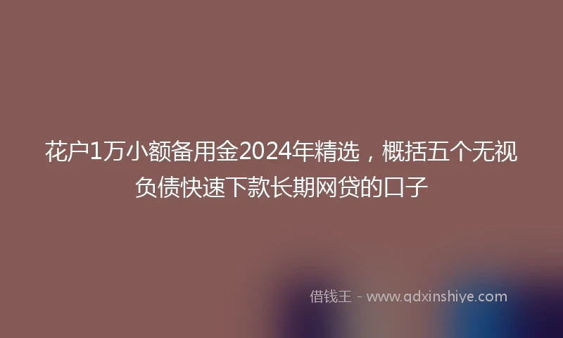 花户1万小额备用金2024年精选，概括五个无视负债快速下款长期网贷的口子