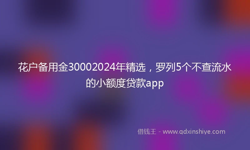 花户备用金30002024年精选，罗列5个不查流水的小额度贷款app
