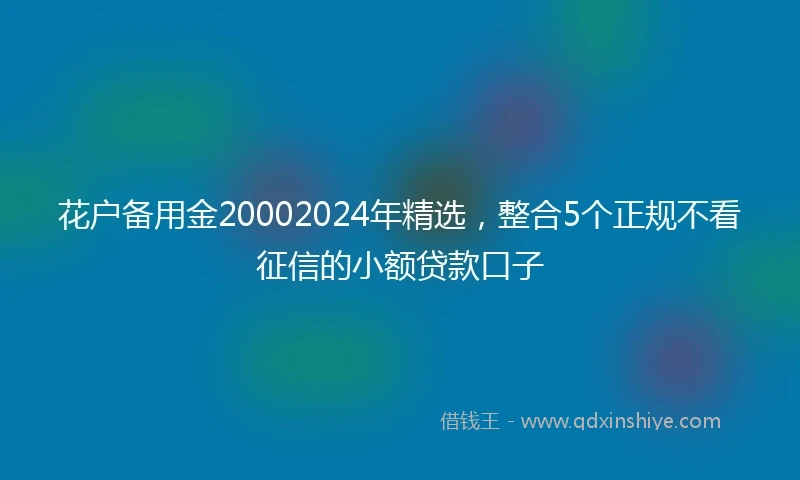 花户备用金20002024年精选，整合5个正规不看征信的小额贷款口子