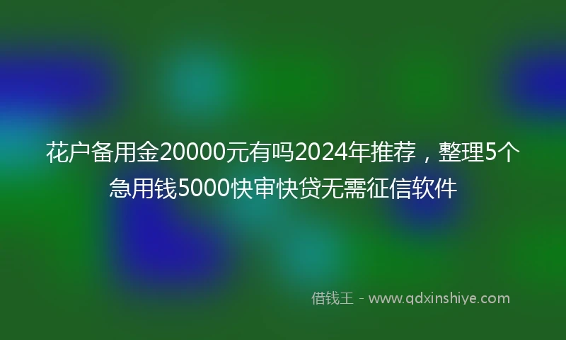 花户备用金20000元有吗2024年推荐，整理5个急用钱5000快审快贷无需征信软件
