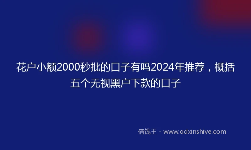 花户小额2000秒批的口子有吗2024年推荐，概括五个无视黑户下款的口子