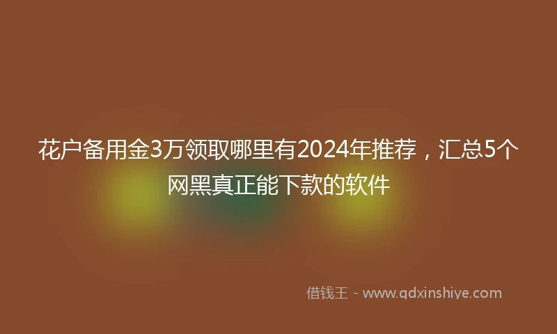花户备用金3万领取哪里有2024年推荐，汇总5个网黑真正能下款的软件