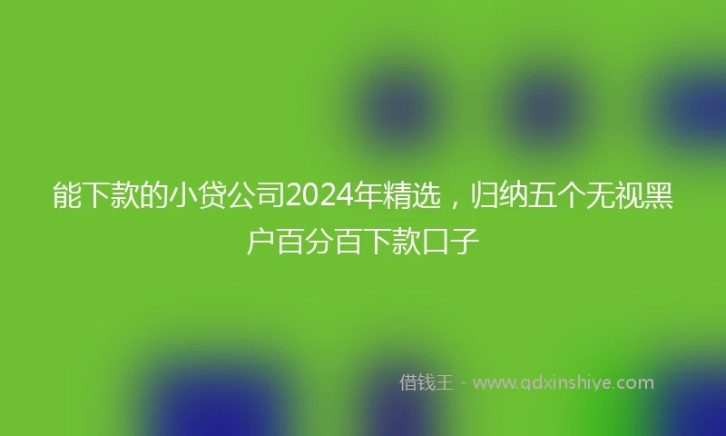 能下款的小贷公司2024年精选，归纳五个无视黑户百分百下款口子