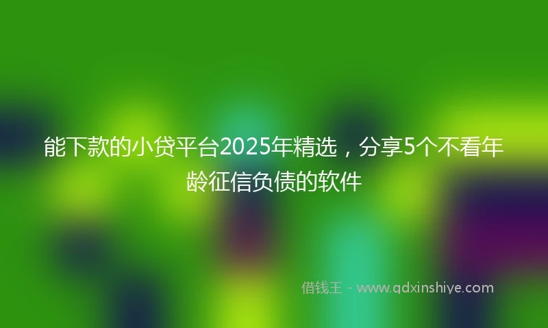能下款的小贷平台2025年精选，分享5个不看年龄征信负债的软件