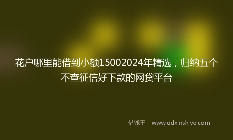 花户哪里能借到小额15002024年精选，归纳五个不查征信好下款的网贷平台