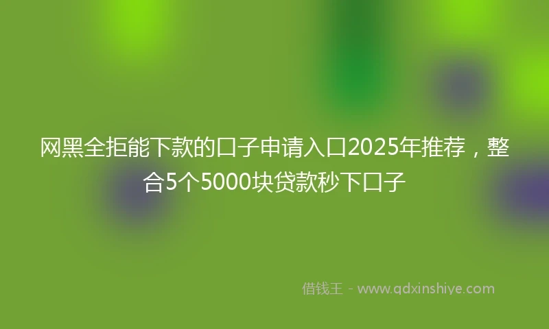 网黑全拒能下款的口子申请入口2025年推荐，整合5个5000块贷款秒下口子