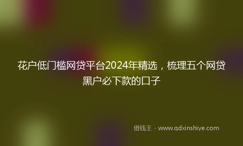 花户低门槛网贷平台2024年精选，梳理五个网贷黑户必下款的口子