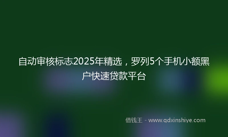 自动审核标志2025年精选，罗列5个手机小额黑户快速贷款平台