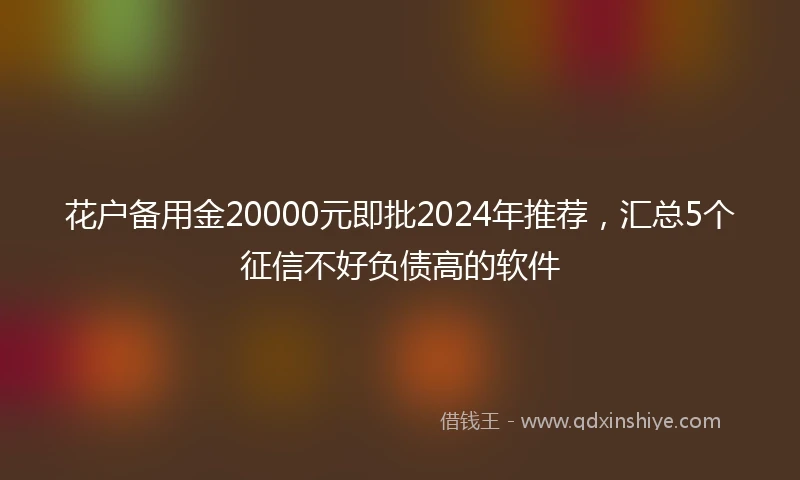 花户备用金20000元即批2024年推荐，汇总5个征信不好负债高的软件