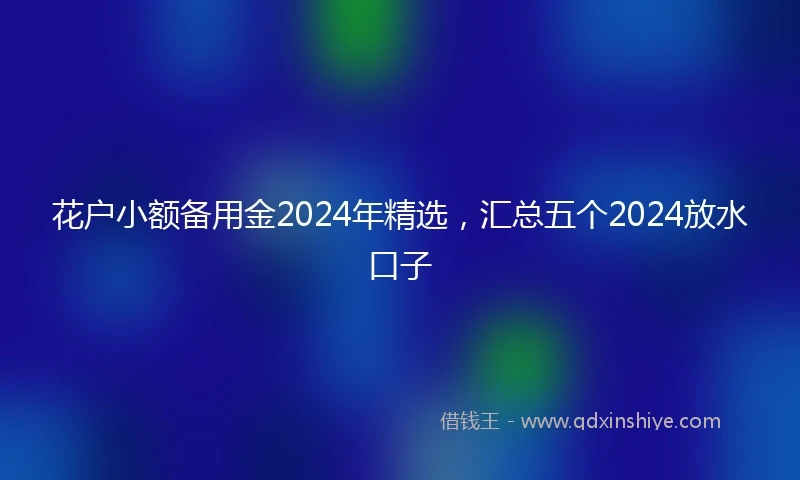 花户小额备用金2024年精选，汇总五个2024放水口子