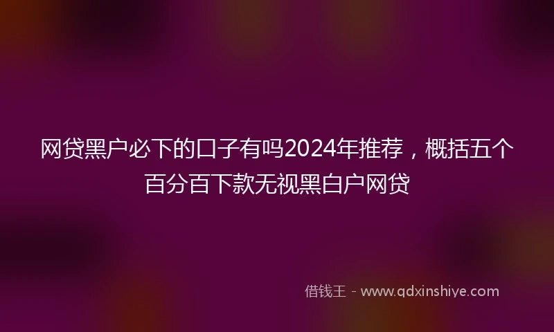 网贷黑户必下的口子有吗2024年推荐，概括五个百分百下款无视黑白户网贷
