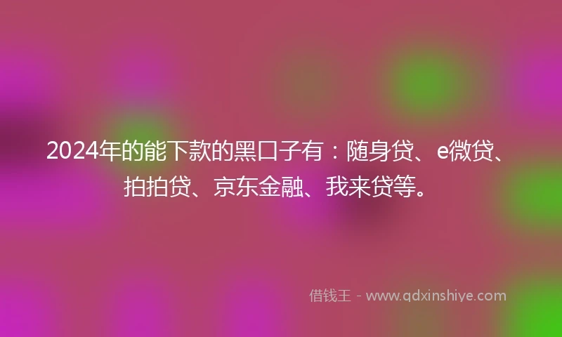 2024年的能下款的黑口子有：随身贷、e微贷、拍拍贷、京东金融、我来贷等。