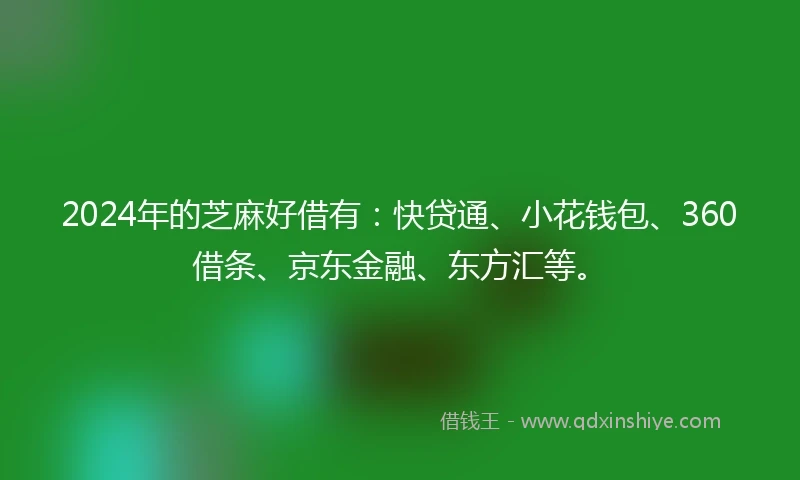 2024年的芝麻好借有：快贷通、小花钱包、360借条、京东金融、东方汇等。