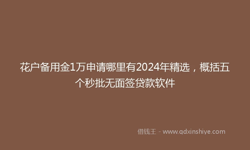 花户备用金1万申请哪里有2024年精选，概括五个秒批无面签贷款软件