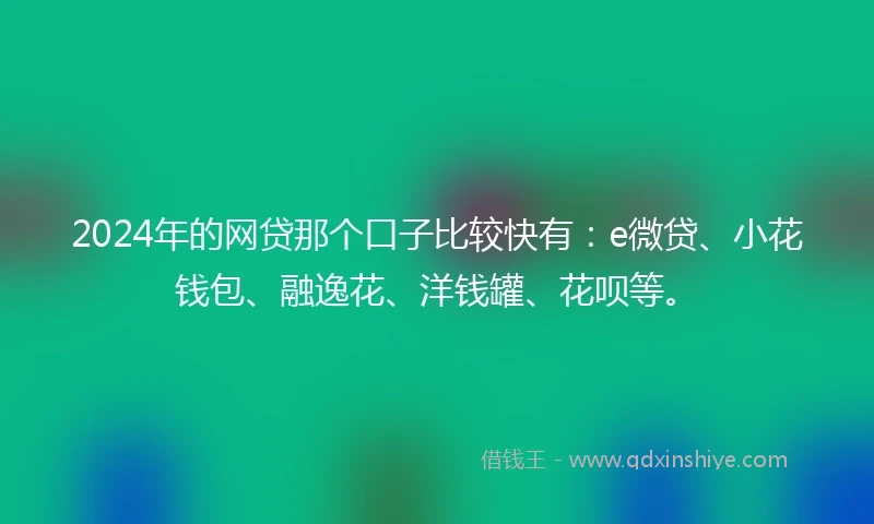 2024年的网贷那个口子比较快有：e微贷、小花钱包、融逸花、洋钱罐、花呗等。