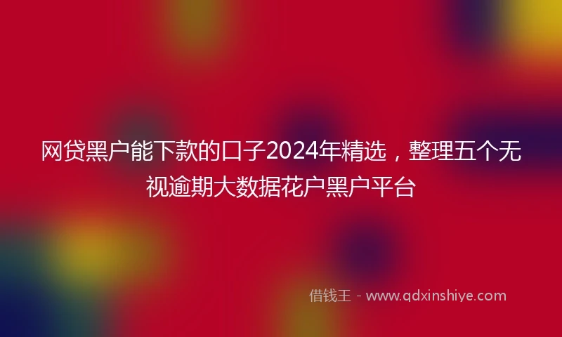 网贷黑户能下款的口子2024年精选，整理五个无视逾期大数据花户黑户平台