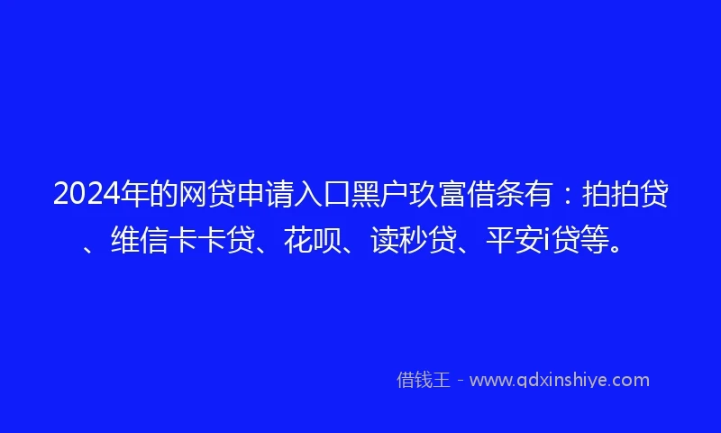 2024年的网贷申请入口黑户玖富借条有：拍拍贷、维信卡卡贷、花呗、读秒贷、平安i贷等。