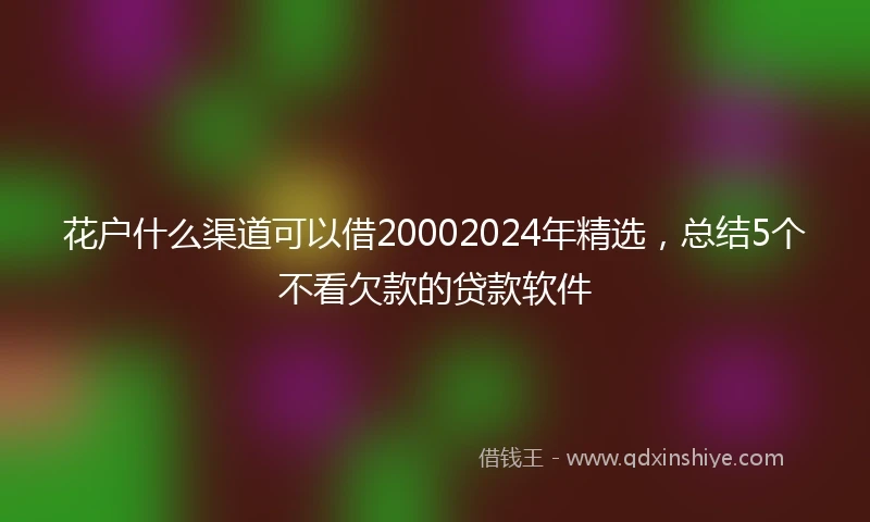 花户什么渠道可以借20002024年精选，总结5个不看欠款的贷款软件