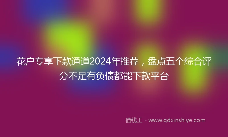 花户专享下款通道2024年推荐，盘点五个综合评分不足有负债都能下款平台