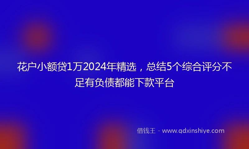 花户小额贷1万2024年精选,总结5个综合评分不足有负债都能下款平台