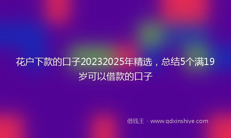 花户下款的口子20232025年精选，总结5个满19岁可以借款的口子