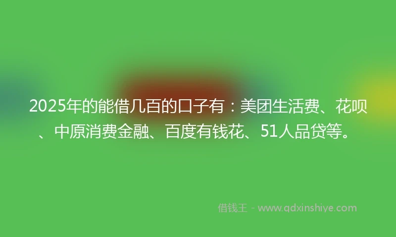 2025年的能借几百的口子有：美团生活费、花呗、中原消费金融、百度有钱花、51人品贷等。