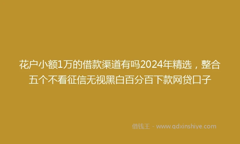 花户小额1万的借款渠道有吗2024年精选，整合五个不看征信无视黑白百分百下款网贷口子