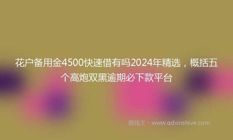 花户备用金4500快速借有吗2024年精选,概括五个高炮双黑逾期必下款平台
