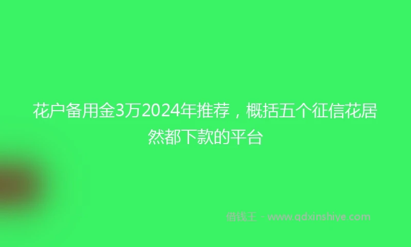 花户备用金3万2024年推荐，概括五个征信花居然都下款的平台