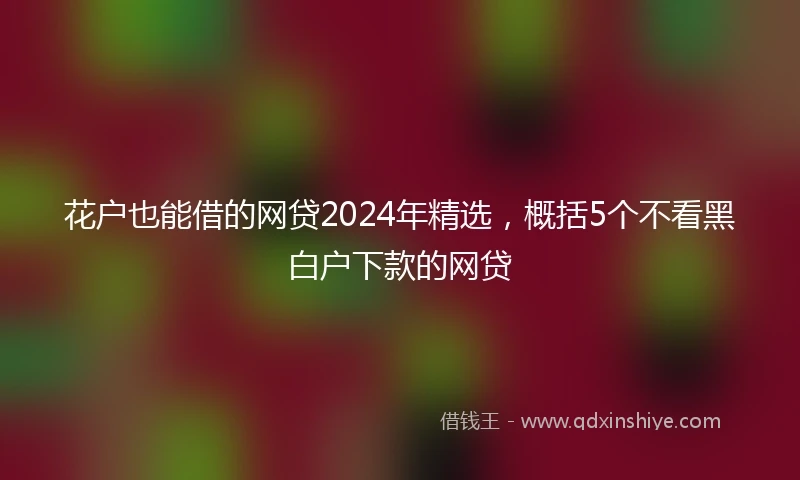 花户也能借的网贷2024年精选，概括5个不看黑白户下款的网贷