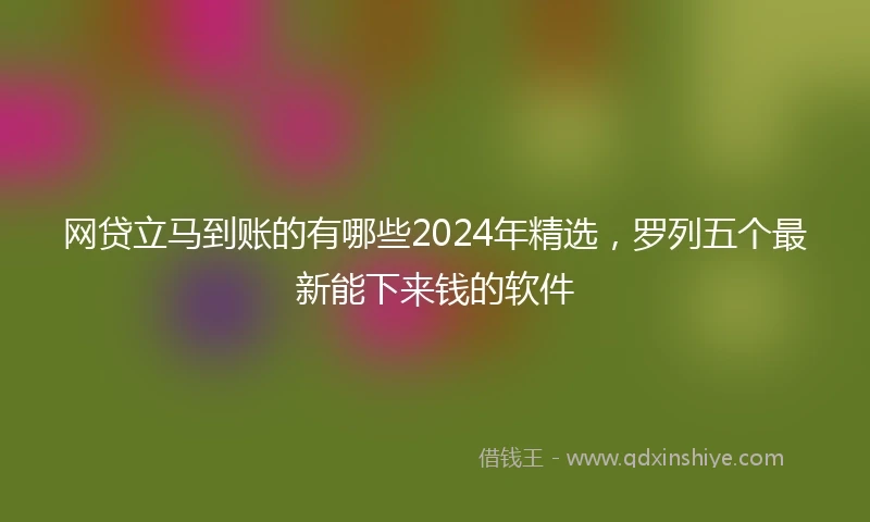 网贷立马到账的有哪些2024年精选，罗列五个最新能下来钱的软件