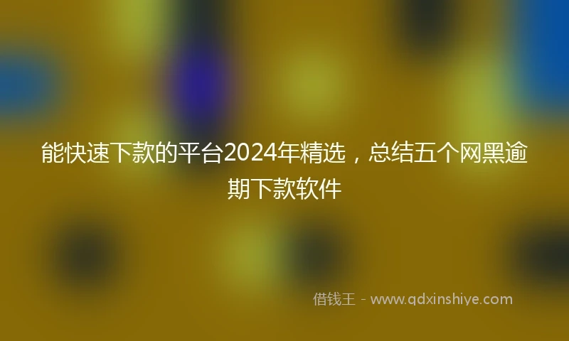 能快速下款的平台2024年精选，总结五个网黑逾期下款软件