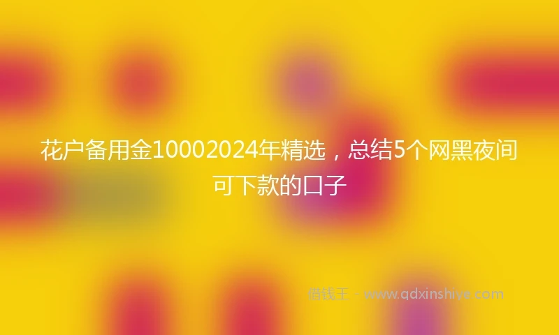 花户备用金10002024年精选，总结5个网黑夜间可下款的口子